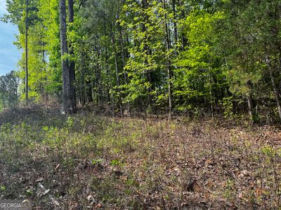0 Waterview Dr Lot 34, Lagrange, GA, 30240