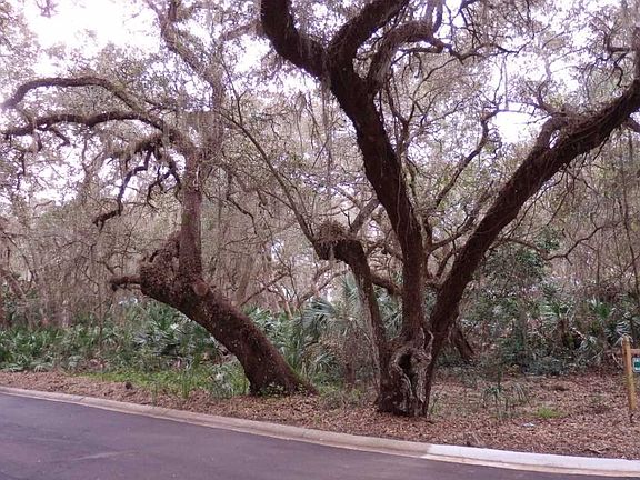 4th image of 129 Island Hammock Way