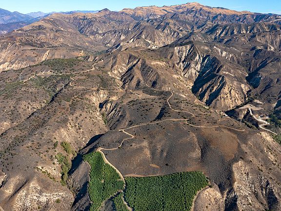 2nd image of 915 E Telegraph Rd