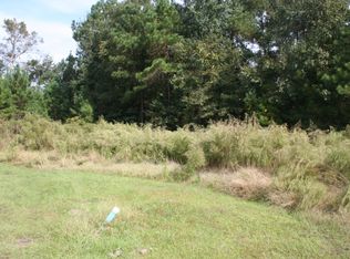 116 Laurel Point Dr, Springfield, GA 31329