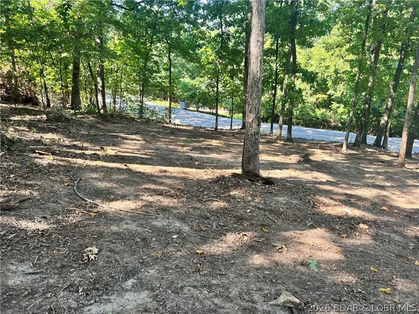 31 Willow Ridge Rd, Lake Ozark, MO 65049