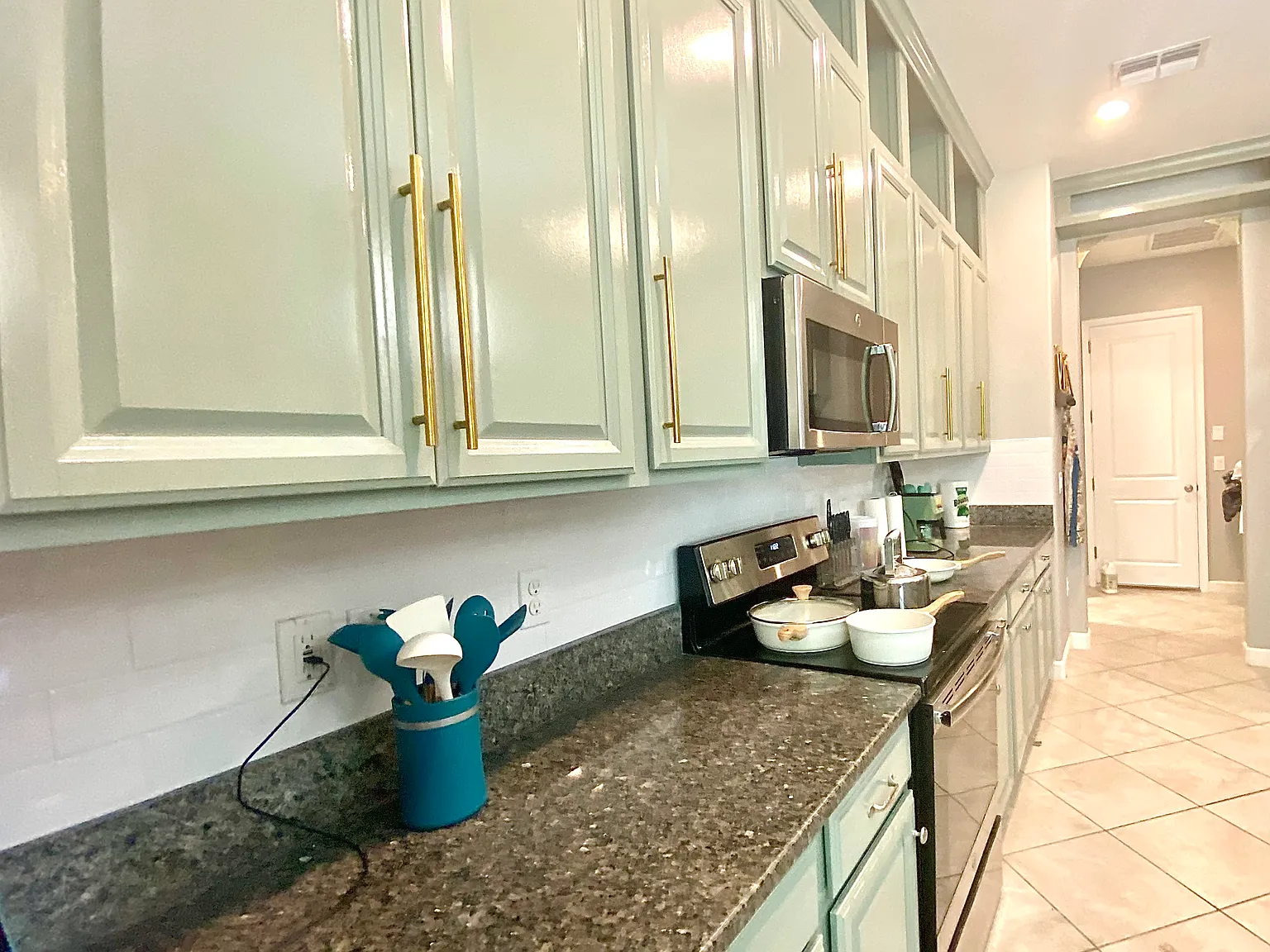 Orca Sound Dr, Riverview — Photo 1
