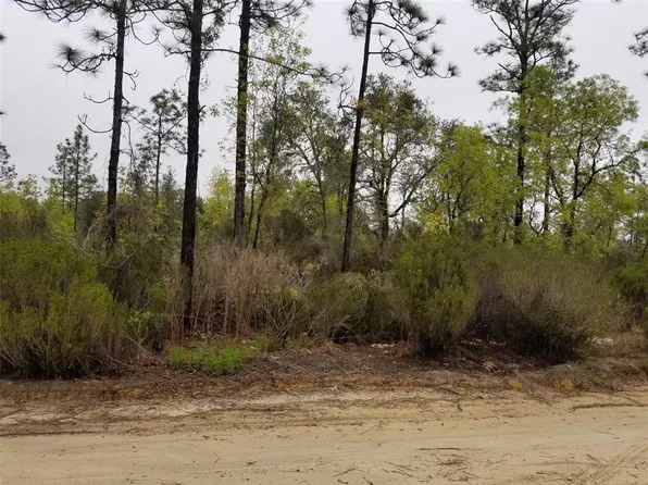 9830 NE 87th Pl, Bronson, FL 32621