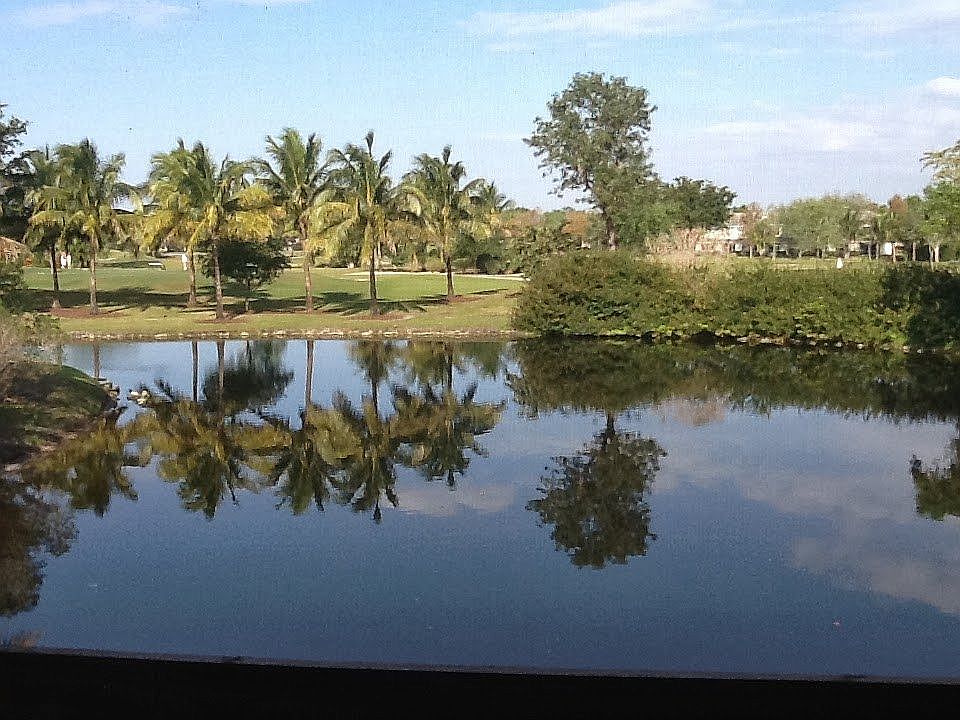 Terrace/Patio View