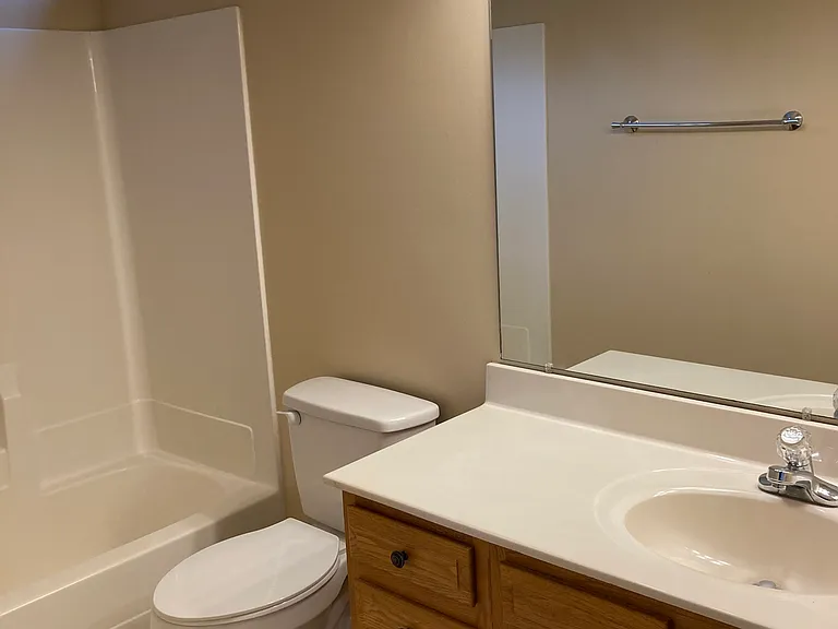 Hall bathroom