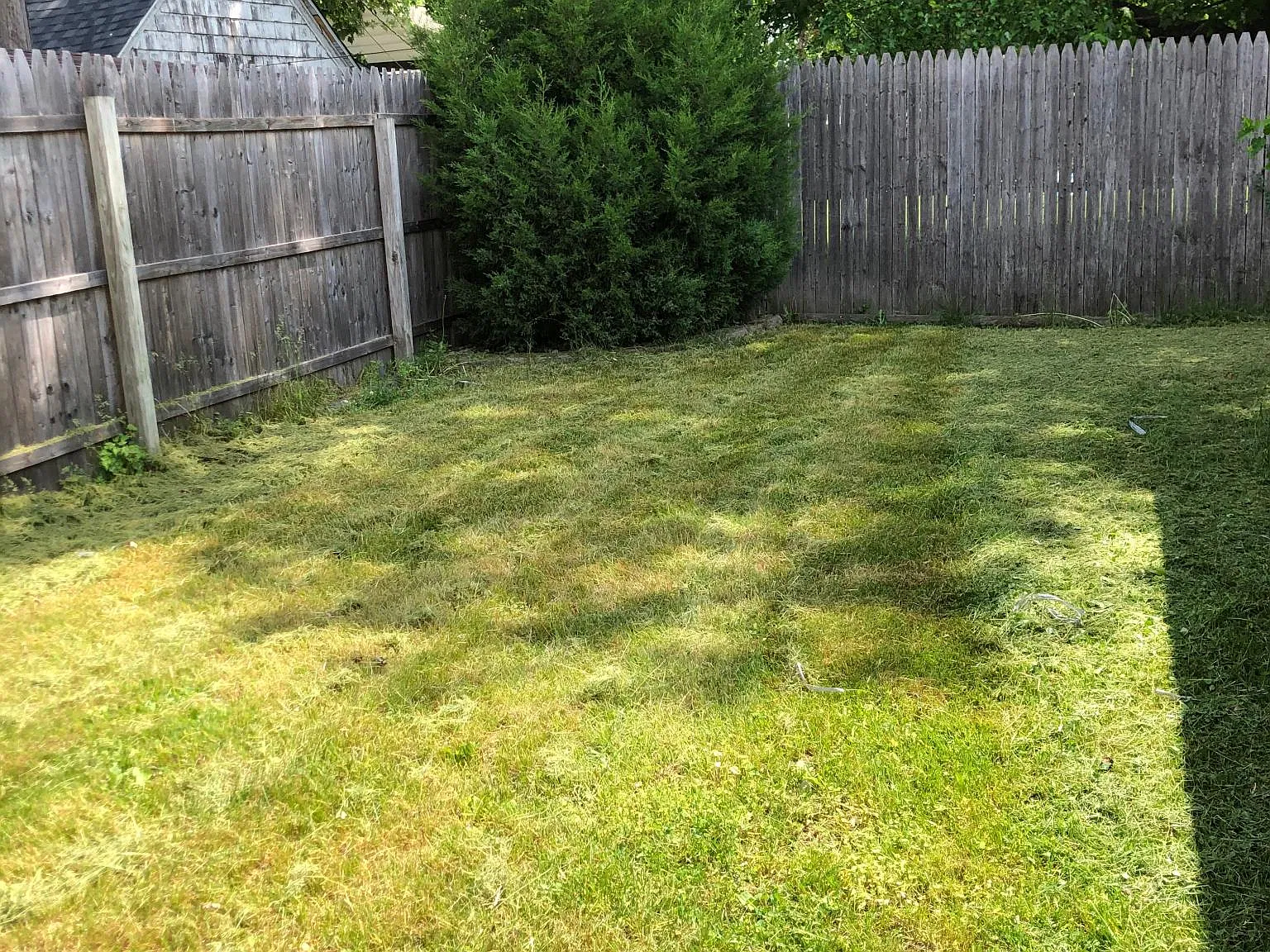 3 bed, 977 sqft, $1,800 — Photo 4