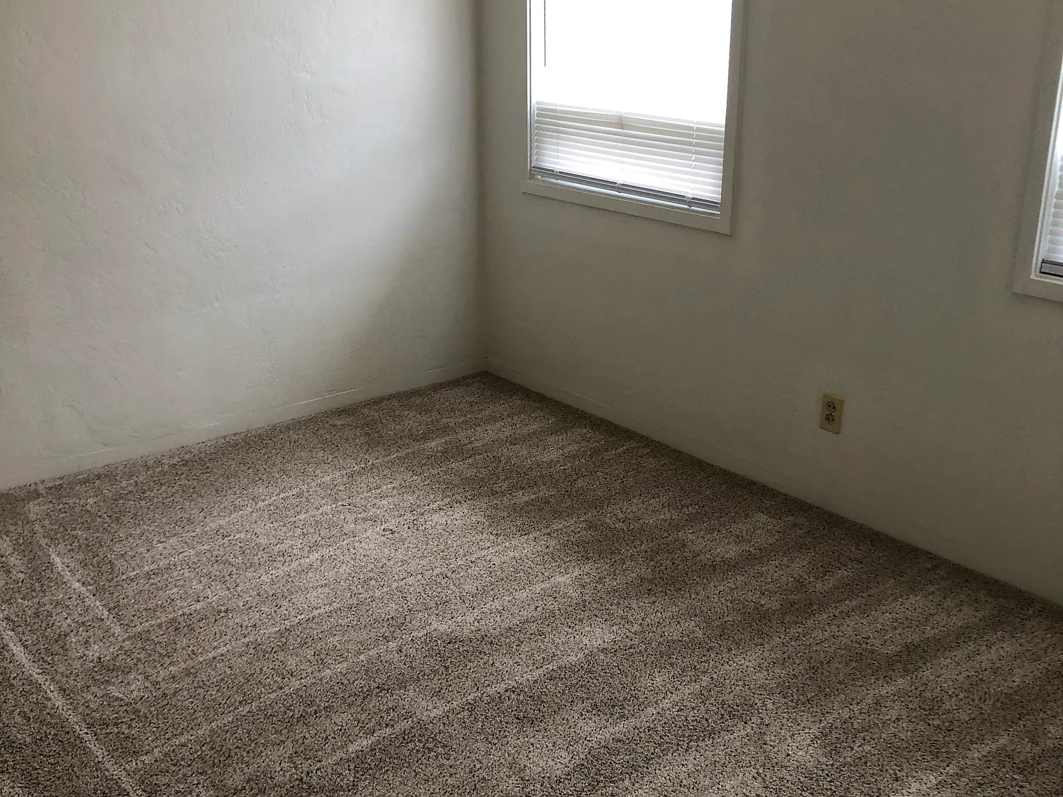 1 bed, $850 — Photo 4