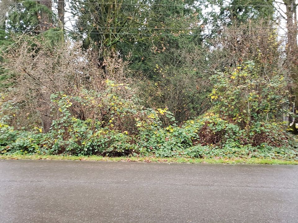 1st image of 18 114th Pl NE