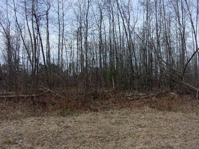 Krake Rd, Townsend, WI, 54175