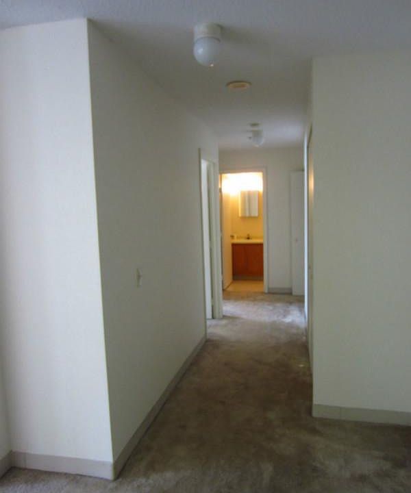 2nd image of 351 Columbus Ave APT 4