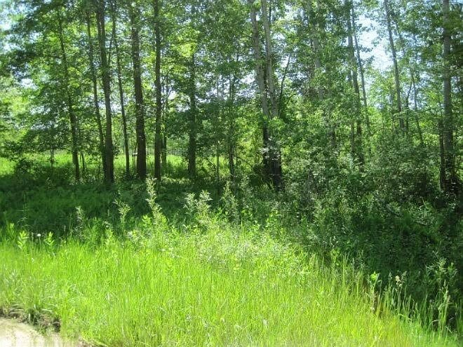 2nd image of 104th Ave