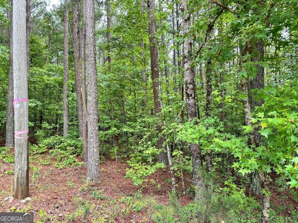 131 Johnson Rd, Locust Grove, GA 30248