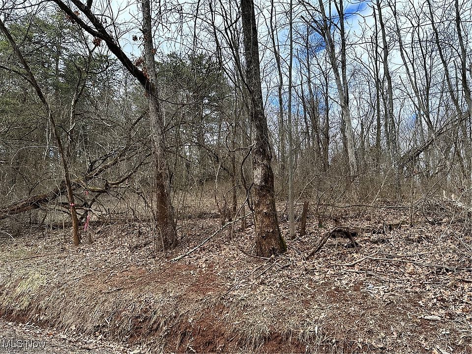 2nd image of 0 Fisher Ridge Rd #4