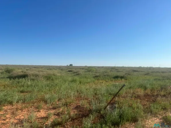 1037 South Xrds #O, Portales, NM 88130