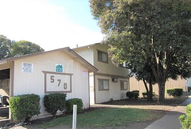 IMG_8021 (2)_10212024