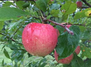 370 Caldwell Rd, Coalmont, TN 37313