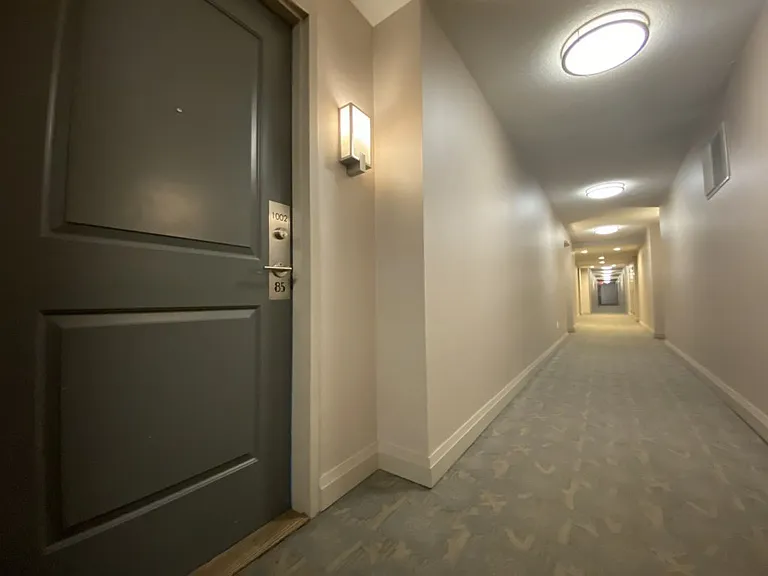 85 E Liberty St #1002 — Photo 25