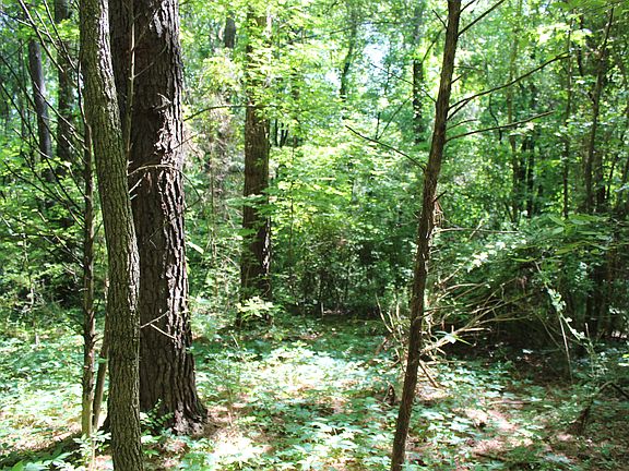 4th image of 0 Indian Creek Road