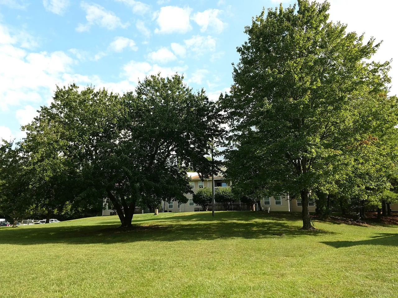 Suffolk Place Apartments — Photo 2