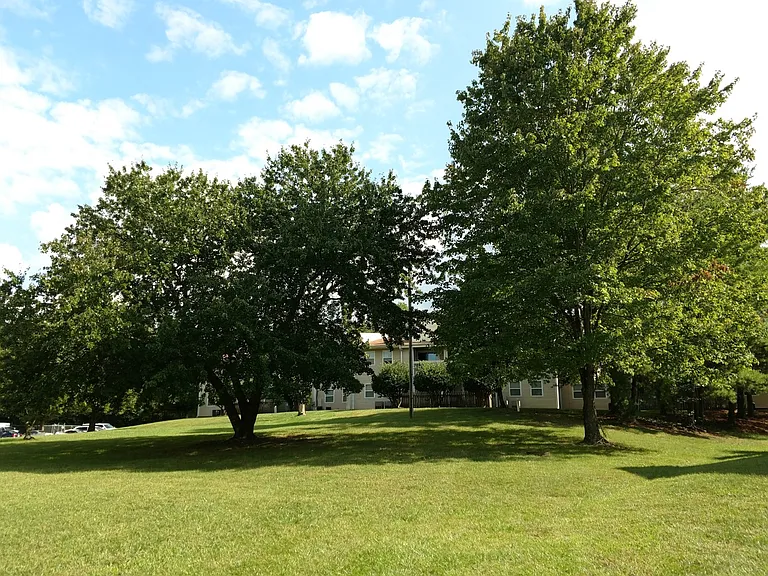 Suffolk Place Apartments — Photo 2