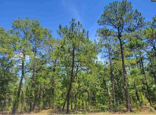 815 Ermine Rd, West Columbia, SC 29170