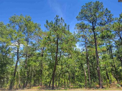815 Ermine Rd, West Columbia, SC, 29170