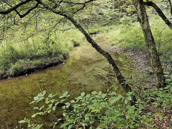 Wilderness Rd, Jonesville, VA 24263
