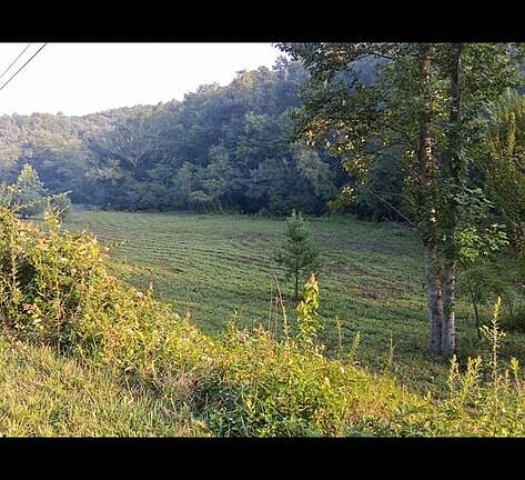 4th image of 2231 Camp Creek Rd