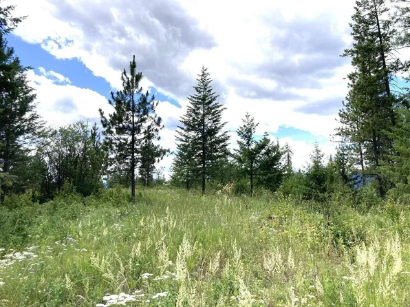 U Buffy Ln, Inchelium, WA 99138