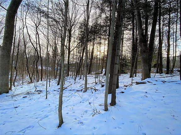 4th image of Greenville Ln
