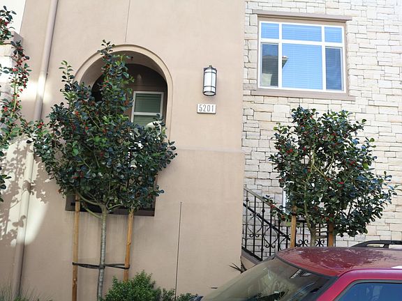 Home Front View