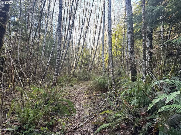 0 N Yachats River Rd, Yachats, OR 97498