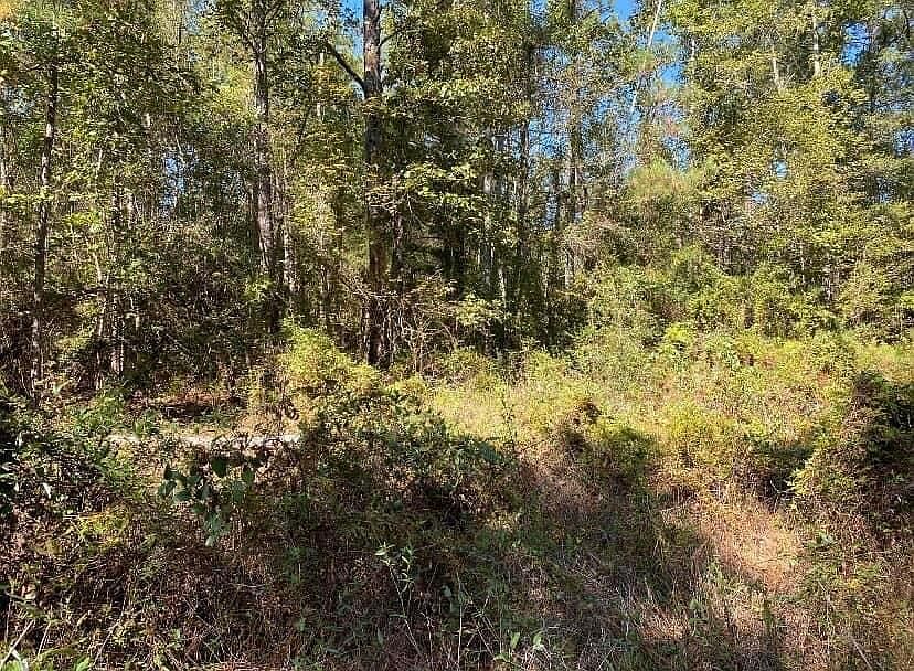 1st image of Longville Rd