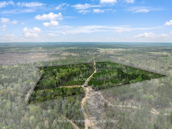 2 Stephens Cemetary Rd, Silver Creek, MS 39663