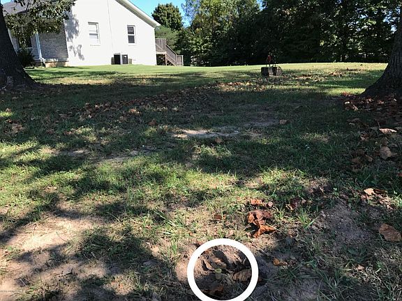 4th image of 226 Thomas Ln