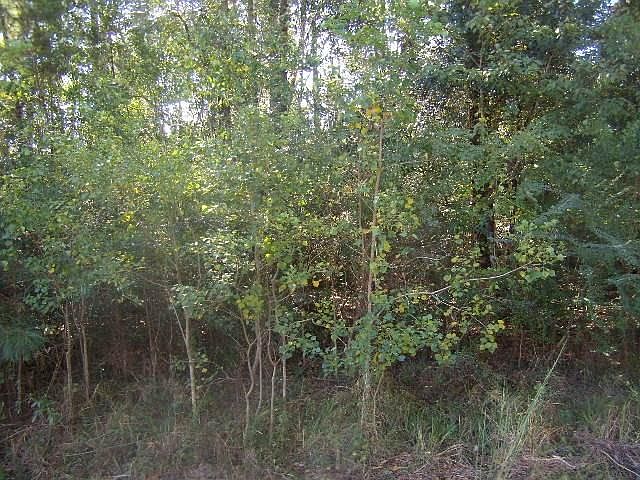 1st image of Cosner Ln