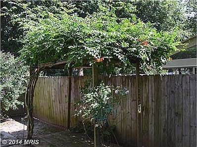 Fenced Backyard