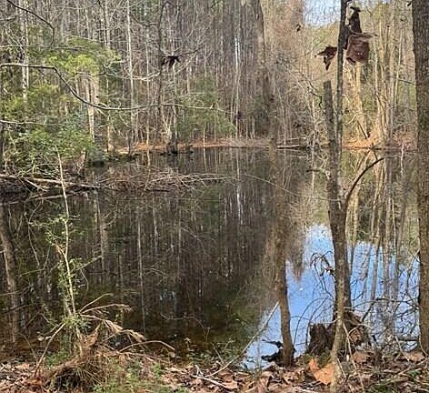 3rd image of Rosemound Loop