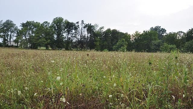 1st image of 107 Cassidy Dr Lot 4