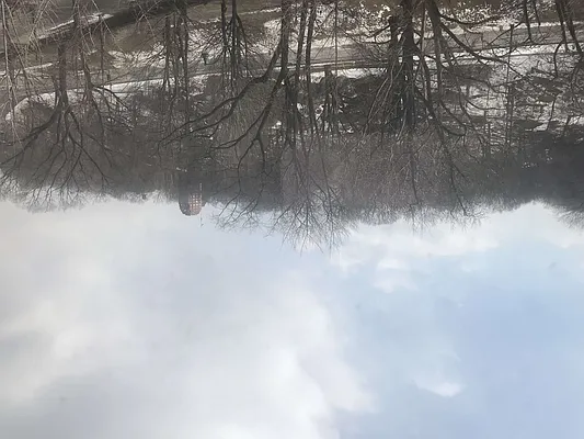 Rented by Sandra Ospina, Licensed Real Estate Broker | media 34