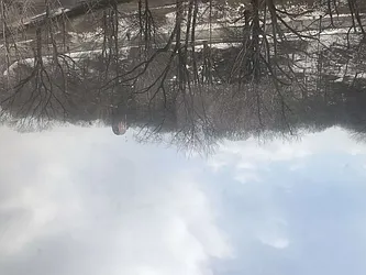 Rented by Sandra Ospina, Licensed Real Estate Broker