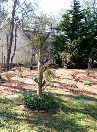 4th image of 175 River Oak Dr