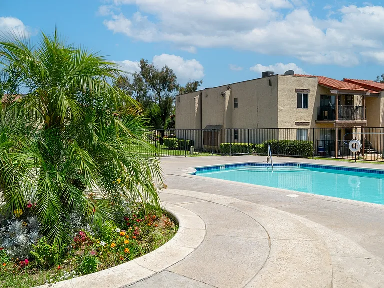 Vista View Apartments — Photo 5