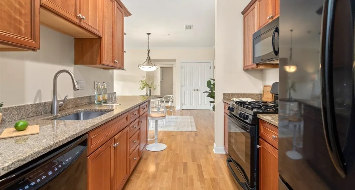 2 bed, 1162 sqft, $2,300 — Photo 3