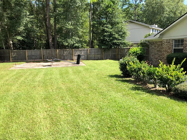 Backyard right side (small court for basketball)