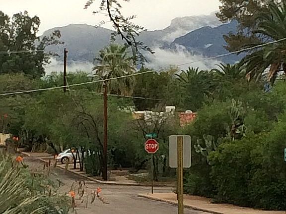 north standing at front door