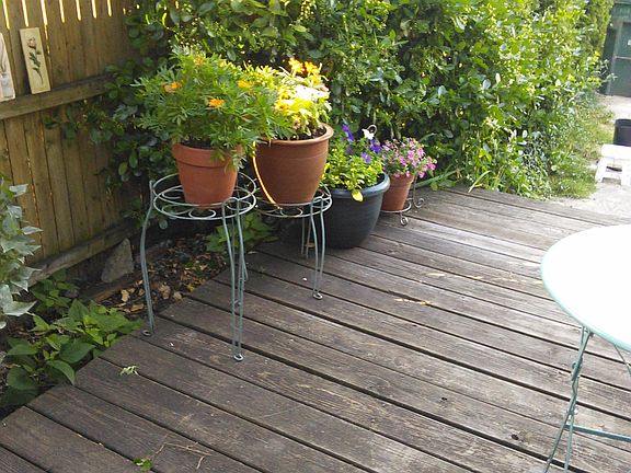 Back deck, no yard. Small side yard