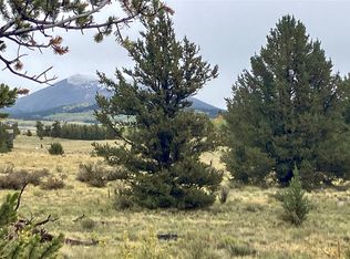 1344 Silverheels Rd, Fairplay, CO 80440