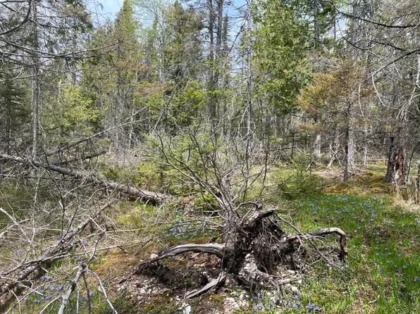 3234B11 Bruce St, Pointe Aux Pins, MI 49775