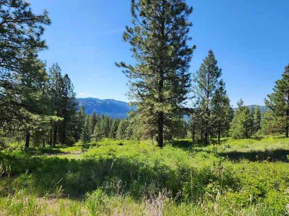 Gold Mountain Rd, Republic, WA 99166